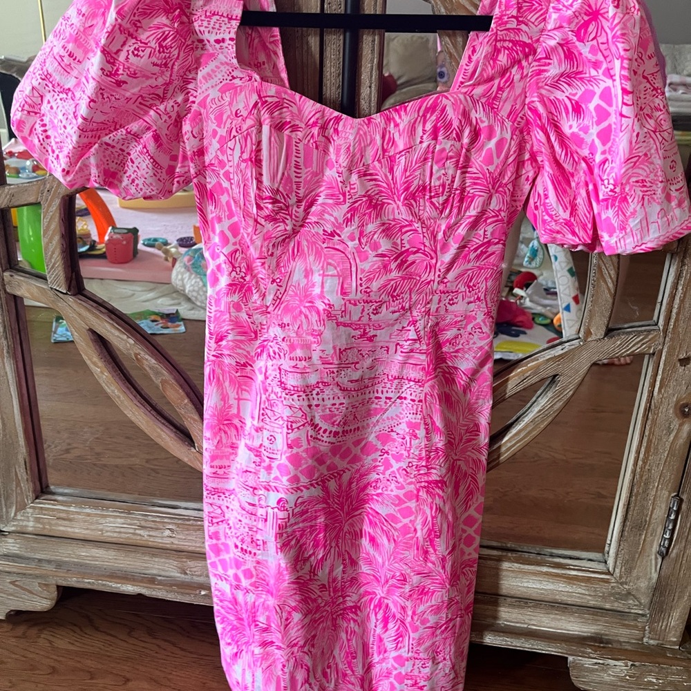 Lilly Pulitzer merian dress